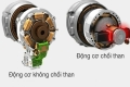 Động cơ không chổi than (Brushless) vs Động cơ chổi than: Tại sao anh em thợ nên nâng cấp hệ BL Motor?